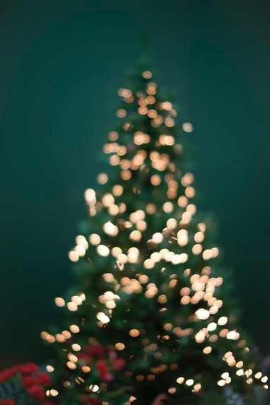 Rompelberg Kerstbomen<br>Bunde