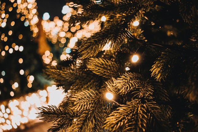 Vlamvertragende behandeling van uw kerstboom